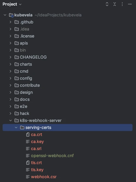 Webhook Serving Certs Directory